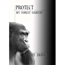 PROTECT OUR SPECIES My Forest Habitat